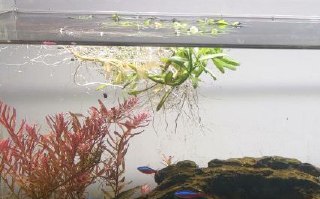 [photo](media:AgACAgUAAx0CQEMBJgABCy_LXlJUQ-0JLcSZ9se8tnIvgfS3O0YAAiipMRtnSJBW0NBnMY8bbIeW_21qdAADAQADAgADbQAD5J0AAhgE@telegram)