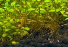 [photo](media:AgACAgUAAx0CQEMBJgABCyr0Xk05ppQgSJKGbRQgfJyqVnbvgIsAAkWpMRsFKHFWivFNx5FprqlbviUzAAQBAAMCAANtAAPkqwMAARgE@telegram)