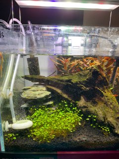 [photo](media:AgACAgUAAx0CQEMBJgABCyrkXk03wLnc_RiUXhJPxqVaE9TH_FoAAs6pMRuwD2lWs58CaT0NMcyyMhszAAQBAAMCAANtAAOBPAQAARgE@telegram)