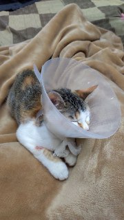 [photo](media:AgACAgUAAx0CQEMBJgABCz1fXl_Ce_nqOdkaB_QmQRflzAU26CcAAg6qMRtmfQABV-yU9K-l88IwdjAbMwAEAQADAgADbQADxscEAAEYBA@telegram)