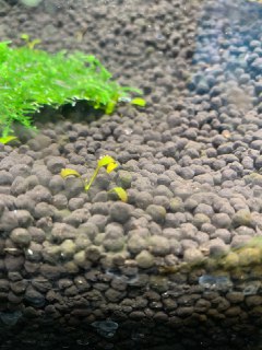 [photo](media:AgACAgUAAx0CQEMBJgABCzLnXlUGPge2ZRN55SIYMkwDBMr1VrMAArmpMRswPahW1Xm8SEZLeCjmKBszAAQBAAMCAANtAAMveAQAARgE@telegram)