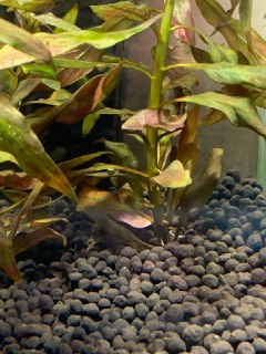 [photo](media:AgACAgUAAx0CQEMBJgABCzLsXlUGlAABXyKGh6yjqui0ifPiCaiAAAK-qTEbMD2oVnMZ3jnfgWgb84dvanQAAwEAAwIAA20AA-62AAIYBA@telegram)