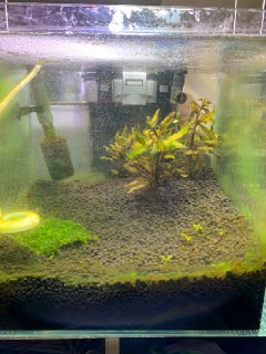 [photo](media:AgACAgUAAx0CQEMBJgABCzaSXle8xDPw2xhAkj80Rf8sHniucjIAAjWpMRvOOrlWoxww7pwUW6yetiUzAAQBAAMCAANtAAM7-QMAARgE@telegram)