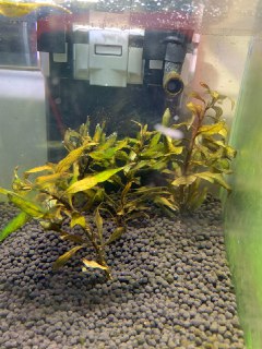 [photo](media:AgACAgUAAx0CQEMBJgABCzafXle9aWWrrPlc3CTI57R-U13ptH0AAjapMRvOOrlWemPf3XiSfApgMhszAAQBAAMCAANtAAPNgQQAARgE@telegram)