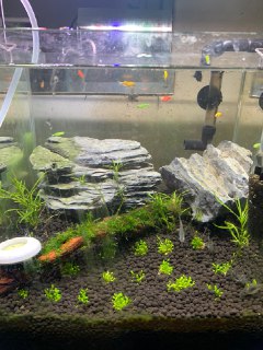 [photo](media:AgACAgUAAx0CQEMBJgABCznRXlsvBMS0DJSTR0MdSJt5VF_o1n0AAh2pMRvR-9hWFXavizfvvrueIBszAAQBAAMCAANtAAMVmgQAARgE@telegram)