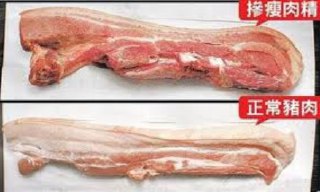 [photo](media:AgACAgUAAx0CQEMBJgABDCXnX1Y-a_yWMmaXKaNHgVqU2mg1AAGOAAINsDEbXve5VptfmEmfs-MiFxZKbHQAAwEAAwIAA20AA6JzAQABGwQ@telegram)