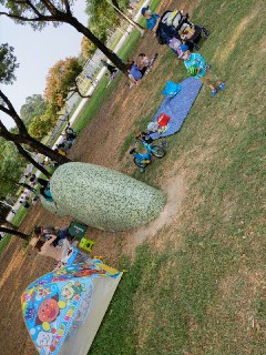 [photo](media:AgACAgUAAx0CQEMBJgABDEfIX4K1HOkSD5K4KZzXsViYwgW0AVsAAnyqMRv4ehhU2h5zM90c9P1d-WBsdAADAQADAgADbQADdiQDAAEbBA@telegram)