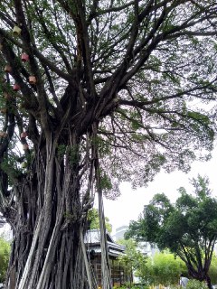 [photo](media:AgACAgUAAx0CQEMBJgABDFdMX5zWVoTEZsfKYgzM1wUBAl3HVzcAAsWqMRsQLehUlHhZJBx5Lo8u29ltdAADAQADAgADbQADnAQAAhsE@telegram)