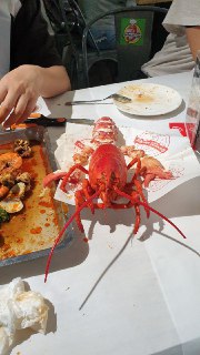 [photo](media:AgACAgUAAx0CQEMBJgABDG0TX7ixaLQ9dNdF9nKMZG_dWB7qW5IAAp6qMRuu-MlVp87qgy6EteIrIE1sdAADAQADAgADbQADDXwFAAEeBA@telegram)