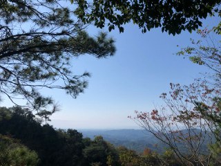 [photo](media:AgACAgUAAx0CQEMBJgABDH6yX_nKAxJMh1uUaJiFjfzAVegAAa3CAAJRqzEbGvPRV3J3mMyeyXAYw8Wsb3QAAwEAAwIAA20AAzXqAAIeBA@telegram)