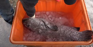 [photo](media:AgACAgUAAx0CQEMBJgABDHJXX8ST-HFYckIWeNZSvHDpjP18XuUAAjyrMRuWcSFWoijv-CWDOnVxJMRsdAADAQADAgADbQADur0EAAEeBA@telegram)