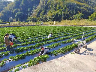 [photo](media:AgACAgUAAx0CQEMBJgABDID1YA5gf-p3GIRV7aiCnrqUdB821mMAAsKrMRuILFhUGq7gzc1TgcIhtxVvdAADAQADAgADbQADxJMBAAEeBA@telegram)