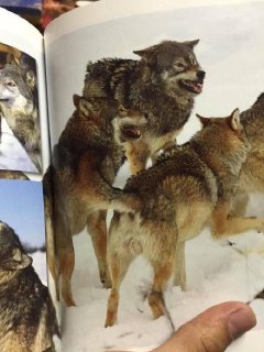 [photo](media:AgACAgUAAx0CQNmbQwABASDnXywMy-XFJCk1Vsro3M5eEVEXmh4AAqOqMRvMkWBVbm3aieUevZNv7MFqdAADAQADAgADbQADM5AGAAEaBA@telegram)