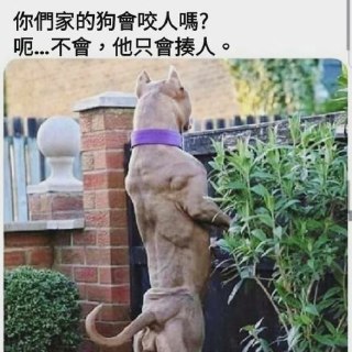 [photo](media:AgACAgUAAx0CQNmbQwABASI0XzGCZLWj_zh_7lUJOqSsGcNiEBsAArmqMRvzyYlV-ZQCsG0sJBNMeetrdAADAQADAgADbQADyr4BAAEaBA@telegram)