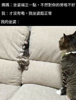 [photo](media:AgACAgUAAx0CQNmbQwABASIpXzGBauJE-xlQ9C8YencF3sjcc7MAAq2qMRvzyYlV-AxlPij8t-jbEkpsdAADAQADAgADbQADDRIAAhoE@telegram)