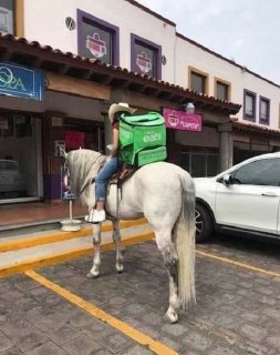 [photo](media:AgACAgUAAx0CQNmbQwABASIxXzGB7f1oTvZ0TVRaxz09H_37QDsAAraqMRvzyYlVrZgR7_QFmabeliNrdAADAQADAgADbQADKkcFAAEaBA@telegram)