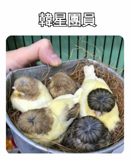 [photo](media:AgACAgUAAx0CQNmbQwABASdxX3CUvvGg2_L7R-dkC4hLYyrtLsUAAnyqMRuBHYFXviUCaGVezIpzq8VsdAADAQADAgADbQADeCcBAAEbBA@telegram)