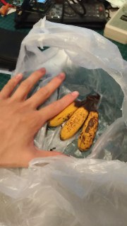 [photo](media:AgACAgUAAx0CQNmbQwABAUSBYJlF3MrHu0uLLlGEsEJ9ihBoH4EAAjSsMRuitslUKvH3HzXI9XB7DO5udAADAQADAgADbQAD4XsEAAEfBA@telegram)