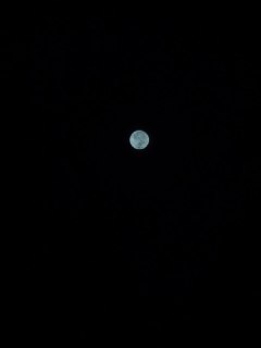 [photo](media:AgACAgUAAx0CT0ncdwABAeXmX3kUwD3mLxoF5XWb4swGDByPW7IAAm2rMRu8ULFXgmgvAwoilu_BfGJsdAADAQADAgADbQADxqICAAEbBA@telegram)