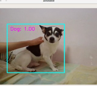 [photo](media:AgACAgUAAx0CT0ncdwABAfmpX8RbvC-jhtEBBE0la2C7edIe3BkAAueqMRvQZyFWj83aYcceETTgIE1sdAADAQADAgADbQADxfUFAAEeBA@telegram)