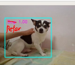 [photo](media:AgACAgUAAx0CT0ncdwABAfmsX8RcY2Gljh5SEVhphR-eG1o3UyMAAumqMRvQZyFWWduWlg0x80_iTv9rdAADAQADAgADbQADpxIHAAEeBA@telegram)