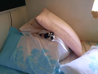 [photo](media:AgACAgUAAx0CT0ncdwABAjjJYAuhZZbAftaQ3MBmqN9ZeSbXtN8AAmGsMRuECFhUNWff_lfRhtjlKbpudAADAQADAgADbQAD9JMBAAEeBA@telegram)