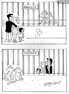 [photo](media:AgACAgUAAx0CVrXbcAACC0ZgiojLZjHwcD747cXyCVGhYaS3nwACQKwxG5WgUFSYB8jBwerB0L3_wXN0AAMBAAMCAANtAAPuNgEAAR8E@telegram)