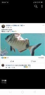 [photo](media:AgADBQAD-KkxG-YR-VZBUgek1VVmYDC7JTMABAEAAwIAA20AA05PAAIWBA@telegram)