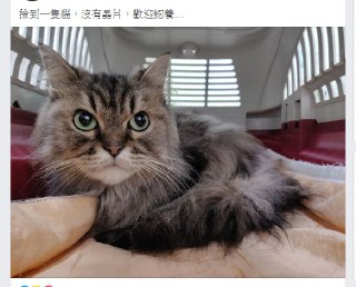 [photo](media:AgADBQAD-KoxGw6wkVdzbRXdQFjT4ijFJTMABAEAAwIAA20AA_TWAAIWBA@telegram)