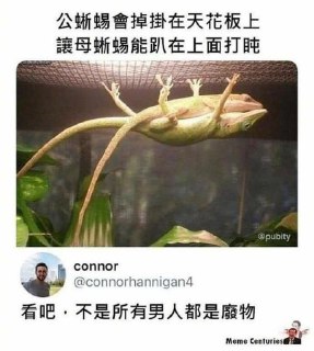 [photo](media:AgADBQAD-qgxGwABlVlVlH2rn-bz8PqPp_kyAAQBAAMCAANtAANh3gQAARYE@telegram)