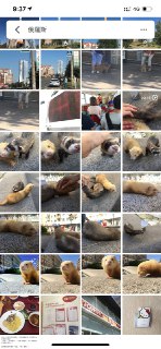 [photo](media:AgADBQAD-qoxGw6wkVfu-Q6Y2TSHOs66JTMABAEAAwIAA20AA6LXAAIWBA@telegram)