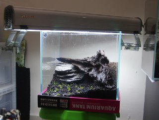 [photo](media:AgADBQAD0qkxG1JnEFSIugU5tAeAtfegJTMABAEAAwIAA20AAz9UAQABFgQ@telegram)