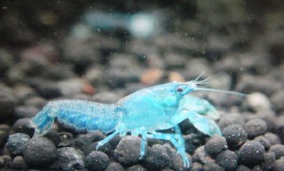 [photo](media:AgADBQAD1KgxG8fOkVa6iSW_k_WTpamk-TIABAEAAwIAA20AA6Z6AQABFgQ@telegram)