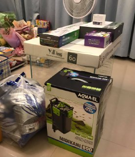 [photo](media:AgADBQAD1KgxG_78QVc1jNTHTXyUZrym-TIABAEAAwIAA20AA38-AgABFgQ@telegram)