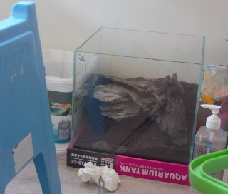 [photo](media:AgADBQAD1agxG8FoCVQNZe5Tbspjb48UGzMABAEAAwIAA20AAyrYAQABFgQ@telegram)