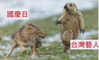 [photo](media:AgADBQAD1aoxG03paFUmqYciYDUnJNKz-TIABAEAAwIAA20AA5j1BAABFgQ@telegram)