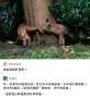 [photo](media:AgADBQAD1awxGy-_EAgBFuL6pztF9oysvzIABMigtH9Hk1kAAc_vAAIC@telegram)