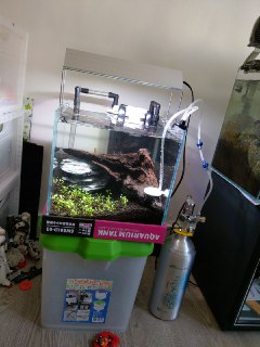 [photo](media:AgADBQAD2agxG-2hkVRFYCf4-HQXWOWyJTMABAEAAwIAA20AA_DYAQABFgQ@telegram)