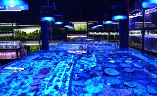 [photo](media:AgADBQAD3qgxG64QiFf3-55hNF5Ei_y1-TIABAEAAwIAA20AA_mRAgABFgQ@telegram)