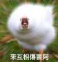 [photo](media:AgADBQAD46gxGw95UVaOouaLOBkIVQ9s3jIABIkiE_wF_NnZSjQCAAEC@telegram)