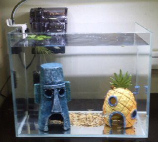 [photo](media:AgADBQAD4KkxG2sIsFYTzsuCCPow5sYzGzMABAEAAwIAA20AA4J-AAIWBA@telegram)