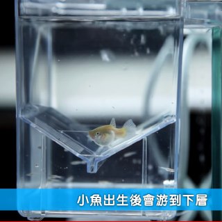 [photo](media:AgADBQAD4agxG1MjaFaF5il8JSlWKaC1-TIABAEAAwIAA20AAw5PAQABFgQ@telegram)