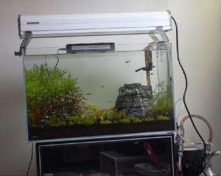 [photo](media:AgADBQAD4agxG4XP8VTalm1XdpLzwxmPAjMABAEAAwIAA20AA2ZSAwABFgQ@telegram)