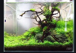 [photo](media:AgADBQAD4akxG2sIsFaq7cO-pHPyvHYTGzMABAEAAwIAA20AA7B_AAIWBA@telegram)