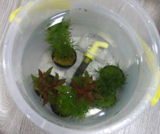 [photo](media:AgADBQAD56gxG8FoCVSYbMZeOL_pc14VGzMABAEAAwIAA20AA__ZAQABFgQ@telegram)