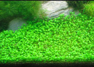 [photo](media:AgADBQAD5agxG8FoCVSzkhrjGI0FIXomGzMABAEAAwIAA20AA0zaAQABFgQ@telegram)