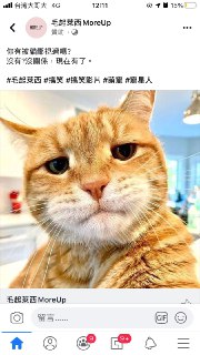 [photo](media:AgADBQAD5agxGyLCoFchVIGvy5p2vPosGzMABAEAAwIAA20AAxp6AQABFgQ@telegram)