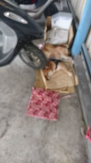 [photo](media:AgADBQAD66gxG64QiVS6pl0OrNIzhXd0-TIABAEAAwIAA20AA15jBAABFgQ@telegram)