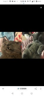 [photo](media:AgADBQAD6agxG62DuFR95PYC3M2Fd92CAjMABAEAAwIAA20AAxsJAwABFgQ@telegram)