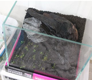 [photo](media:AgADBQAD6akxG8FoEVRtnNC5Qual0KK1JTMABAEAAwIAA20AA3pTAQABFgQ@telegram)